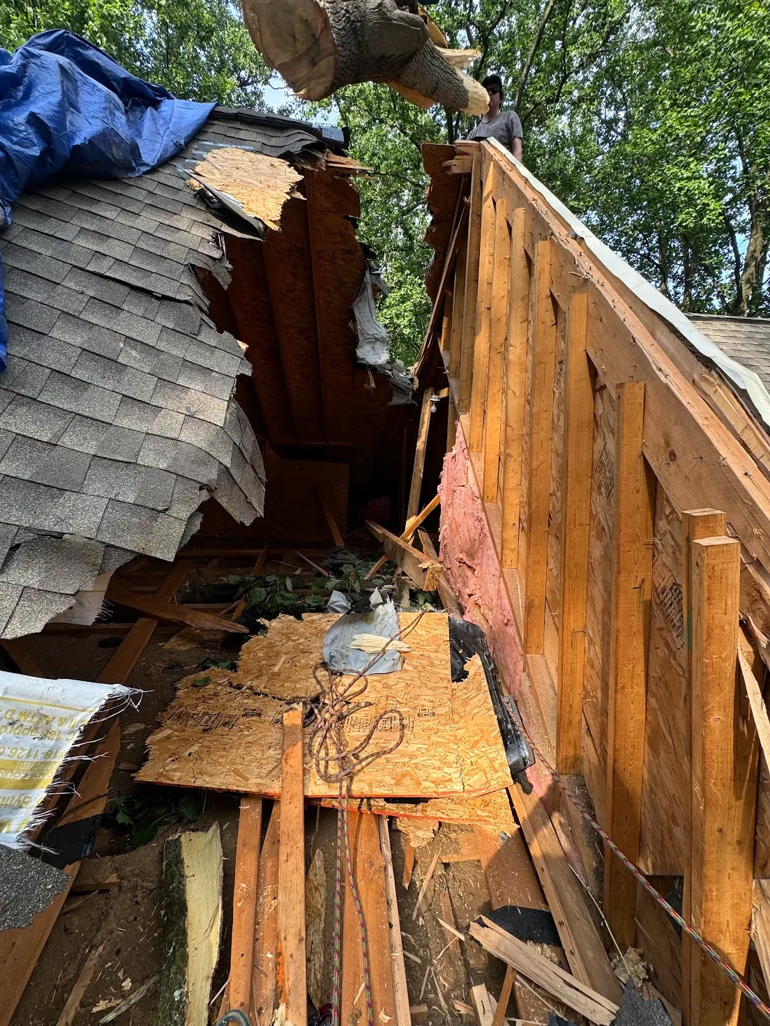 Fallen tree that tore open a residential roof, exposing framing, sheathing, and insulation with a tarp covering the remaining shingles