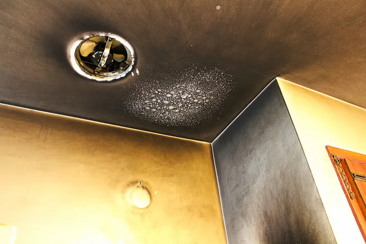 Soot-blackened ceiling and smoke staining around a recessed light fixture after a house fire