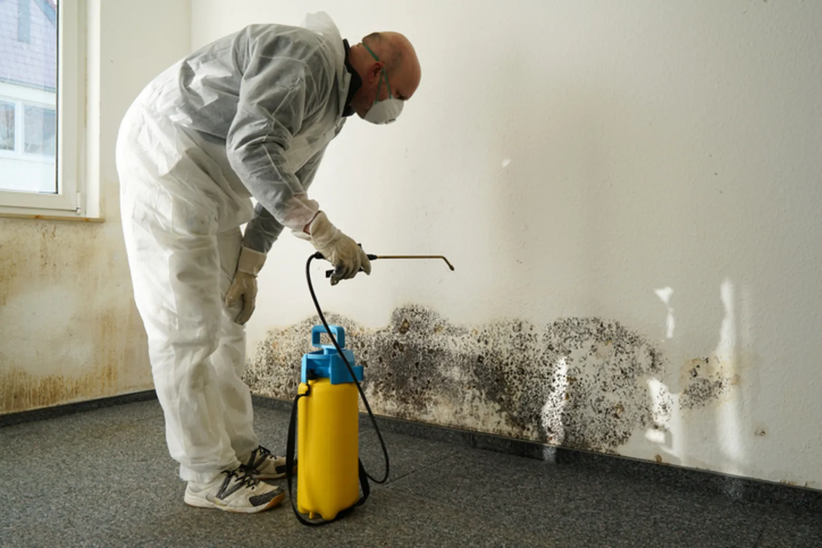 Remediation technician in a protective suit and respirator treating mold along an interior wall with an antimicrobial sprayer