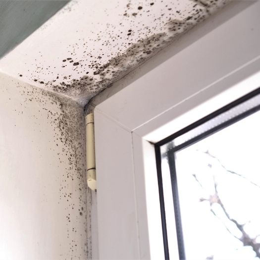 Mold on door frame